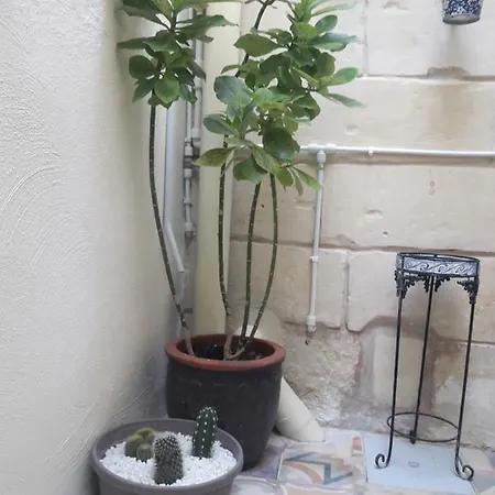 Cospicua Suite